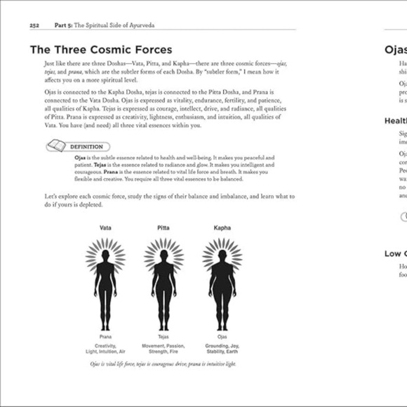 Ayurveda Book - Multicolor - Picture 3 of 4